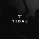 Illustration for article titled Tidal Reportedly Late on Payments to Record Labels